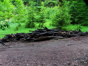 Elbersberg Säuberung