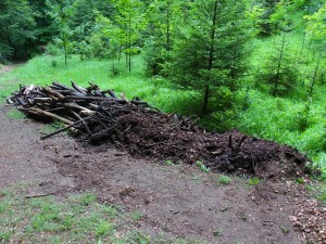 Elbersberg Säuberung
