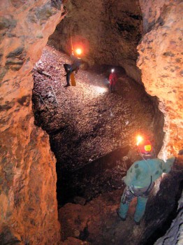 Breitensteiner Bäuerin Breitensteiner Bäuerin (Foto: T. Schneider)