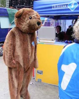 der neuzeitliche Höhlenbär