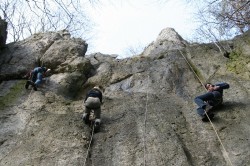 SRT-Training